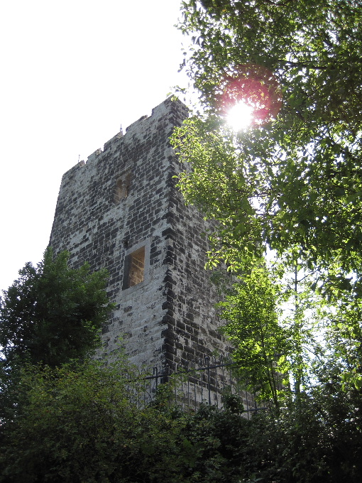Burg Drachenfels / 竜の岩山城